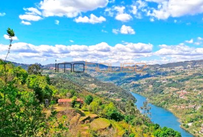 Quinta 1,3ha - Vista para o rio Douro