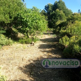 Terrenos en San Martín de Valdeiglesias