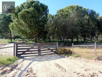 Terreno , Setúbal, Alcácer do Sal