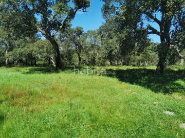 Terreno 2,6ha Sines