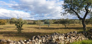 Country homes in Touca