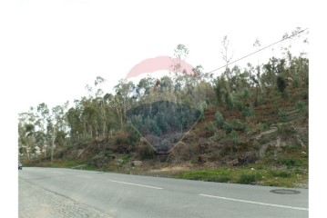 Land in Sequeira