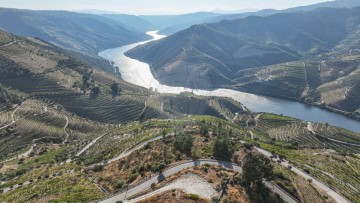 Land in Valença do Douro