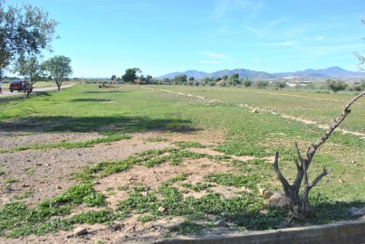 Terrenos en La Hoya-Almendricos-Purias