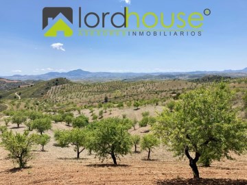 Maisons de campagne 4 Chambres à Zarcilla de Ramos-Doña Inés
