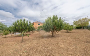 Maison 5 Chambres à Santo Quintino