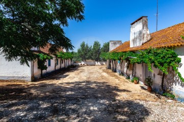 Quintas e casas rústicas 6 Quartos em Brotas