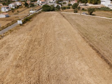 Terre à Santo Quintino