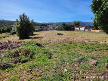 Terreno em Lamas e Cercal