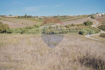 Terreno em Lamas e Cercal