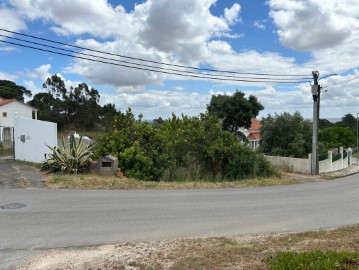 Terreno em Azambuja