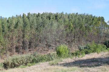 Terreno em Vale do Paraíso