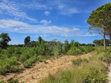 Terrenos en Santo Onofre e Serra do Bouro