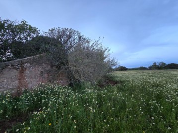 Quintas e casas rústicas  em Quarteira