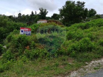 Terre à Sandim, Olival, Lever e Crestuma