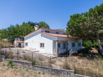 Maison 3 Chambres à Ribafria e Pereiro de Palhacana