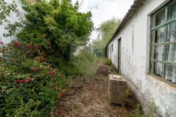 Maison 2 Chambres à Ribafria e Pereiro de Palhacana