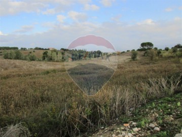 Terreno em Cartaxo e Vale da Pinta