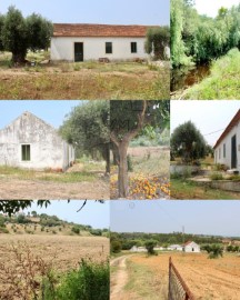 Maison 5 Chambres à São Vicente do Paul e Vale de Figueira