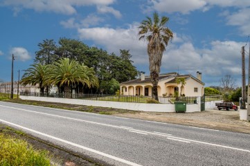 Moradia 3 Quartos em Cartaxo e Vale da Pinta