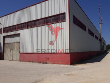 Commercial premises in Albergaria-a-Velha e Valmaior