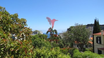Casa o chalet 10 Habitaciones en Funchal (São Pedro)