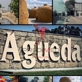 Local en Águeda e Borralha