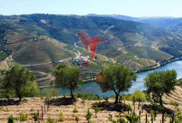 Country homes 4 Bedrooms in Covas do Douro
