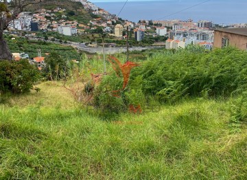 Terreno em São Martinho