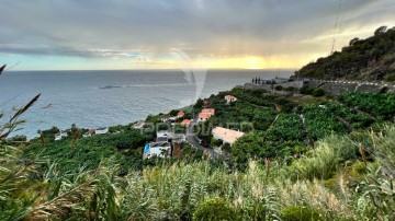 Terreno em Arco da Calheta