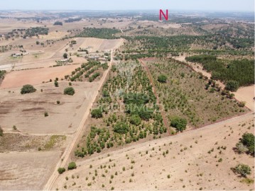 Land in São Francisco da Serra