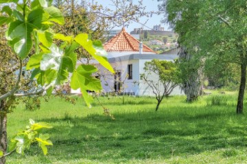 Quintas e casas rústicas em São Gregório e Santa Justa