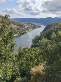 Terre à Galafura e Covelinhas