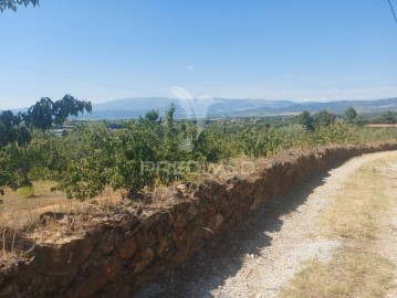 Quintas e casas rústicas em Fundão, Valverde, Donas, A. Joanes, A. Nova Cabo