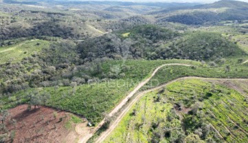 Quintas e casas rústicas 2 Quartos em Luzianes-Gare