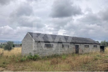 Terreno em Seixo da Beira