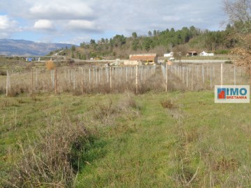 Quintas e casas rústicas  em Alcaria