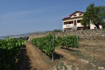 Quintas e casas rústicas 4 Quartos em Teixoso e Sarzedo