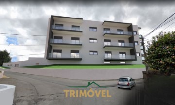 Apartment 3 Bedrooms in Nogueira do Cravo e Pindelo