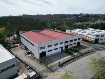 Loja em Vila de Cucujães