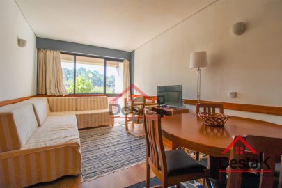 Appartement 1 Chambre à São Pedro do Sul, Várzea e Baiões