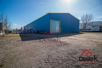 Industrial building / warehouse in Vouzela e Paços de Vilharigues