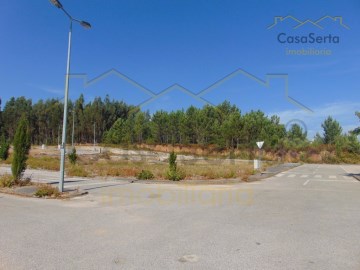 Terreno em Cernache do Bonjardim, Nesperal e Palhais