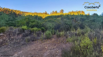 Terreno em Cernache do Bonjardim, Nesperal e Palhais