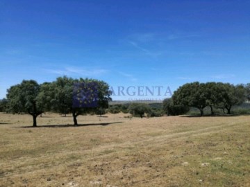 Finca ganadera Brozas