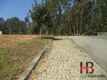 Terreno em São Miguel do Souto e Mosteirô