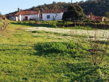 Moradia 5 Quartos em Santana da Serra