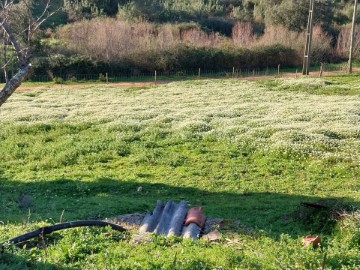 Moradia 5 Quartos em Santana da Serra