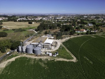 Maisons de campagne à Moita