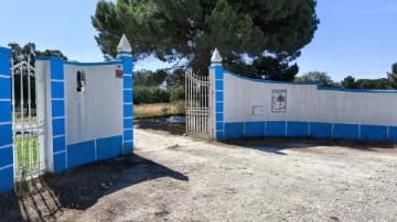 Maison 3 Chambres à Azeitão (São Lourenço e São Simão)